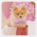 Search for dog christmas stickers Whimsical