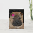 Search for pei cards Animals