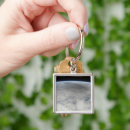 Search for the shadow key rings Surface