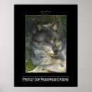 Search for wildlife support posters Wolves