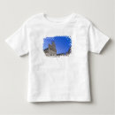 Search for lucca tshirts Architecture