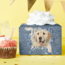 Search for retriever wrapping paper Dog