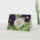 Search for dandelions cards Floral