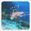 Search for reef stickers Wildlife