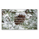 Search for pine photography Winter