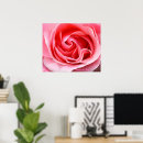 Search for close ups art Petals