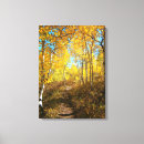 Search for quak posters Forest