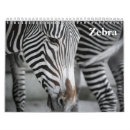 Search for zebra calendars 2026