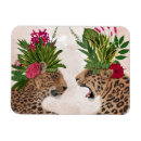 Search for pairs magnets Cat