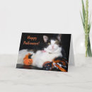 Search for kitty halloween cards Pumpkin