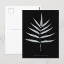 Search for white leaf postcards Fern