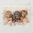 Search for dog friend postcards Dogs