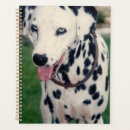 Search for pets planners Dog