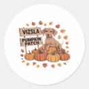 Search for vizsla gear stickers Thanksgiving