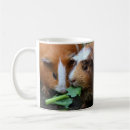 Search for black pig mugs Cute