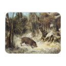 Search for boars cards Animals