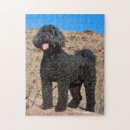 Search for labradoodle puzzles Black