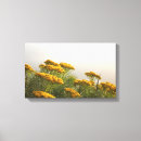 Search for mist flower Nature
