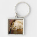 Search for cat key rings Usa