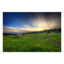 Search for horseshoe art Nature