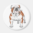 Search for bullies magnets Bulldog