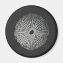 Search for mushroom magnets Fungi