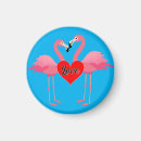 Search for flamingo magnets Waterfowl