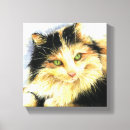 Search for calico art Watercolor