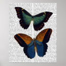 Search for flies posters Animals