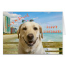 Search for funny dog birthday cards Labrador