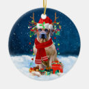 Search for rhodesian ridgeback christmas tree decorations Dog
