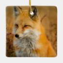 Search for foxes christmas tree decorations Fluffy