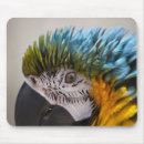 Search for pet lovers mousepads Bird