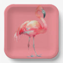 Search for flamingo plates Party