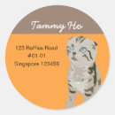 Search for cat address stickers Kitten