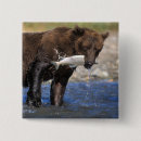 Search for grizzly bear badges Wildlife