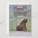 Search for grizzly bear cards Alaska