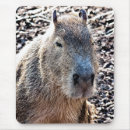 Search for capybara mousepads Animal