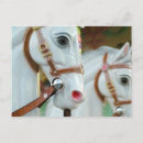 Search for horse riding postcards Photography