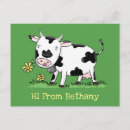 Search for friesian postcards Cow