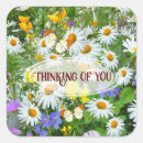 Search for meadow flowers stickers Nature