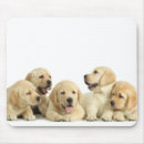 Search for litter electronics Cute