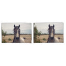 Search for pony pillowcases Horse