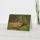 Search for canada cards Elk