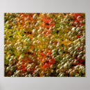 Search for colourful bubbles posters Abstract
