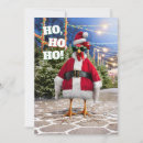 Search for chicken invitations Avanti press