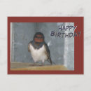 Search for bird lover birthday cards Birdwatching
