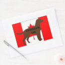 Search for chocolate labrador retriever stickers Black lab