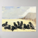 Search for labrador art Yellow