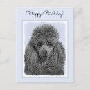 Search for poodle postcards Miniature